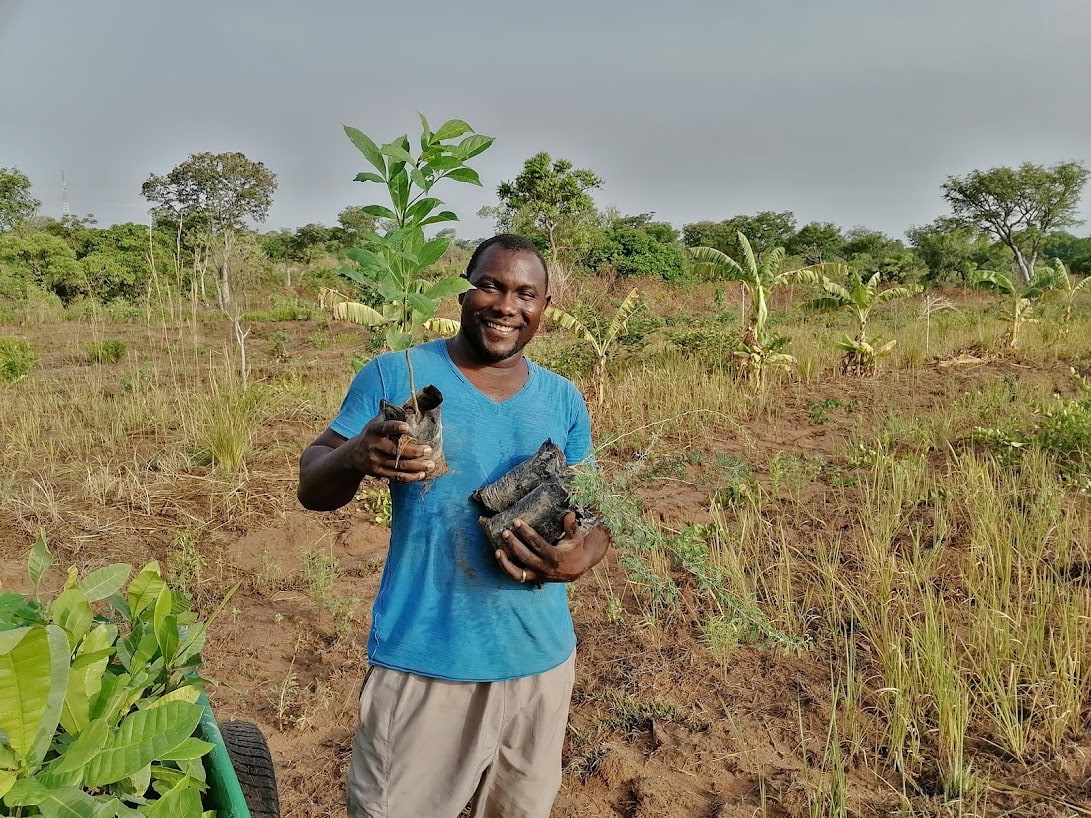Click A Tree - Holistically Sustainable Reforestation Made Simple - Ghana 01