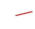 statt79